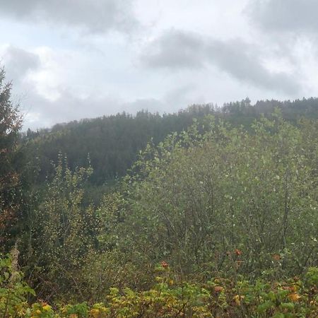 Fewo Berg Idyllika 维林根 外观 照片