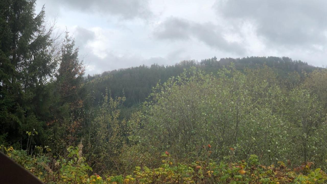 Fewo Berg Idyllika 维林根 外观 照片