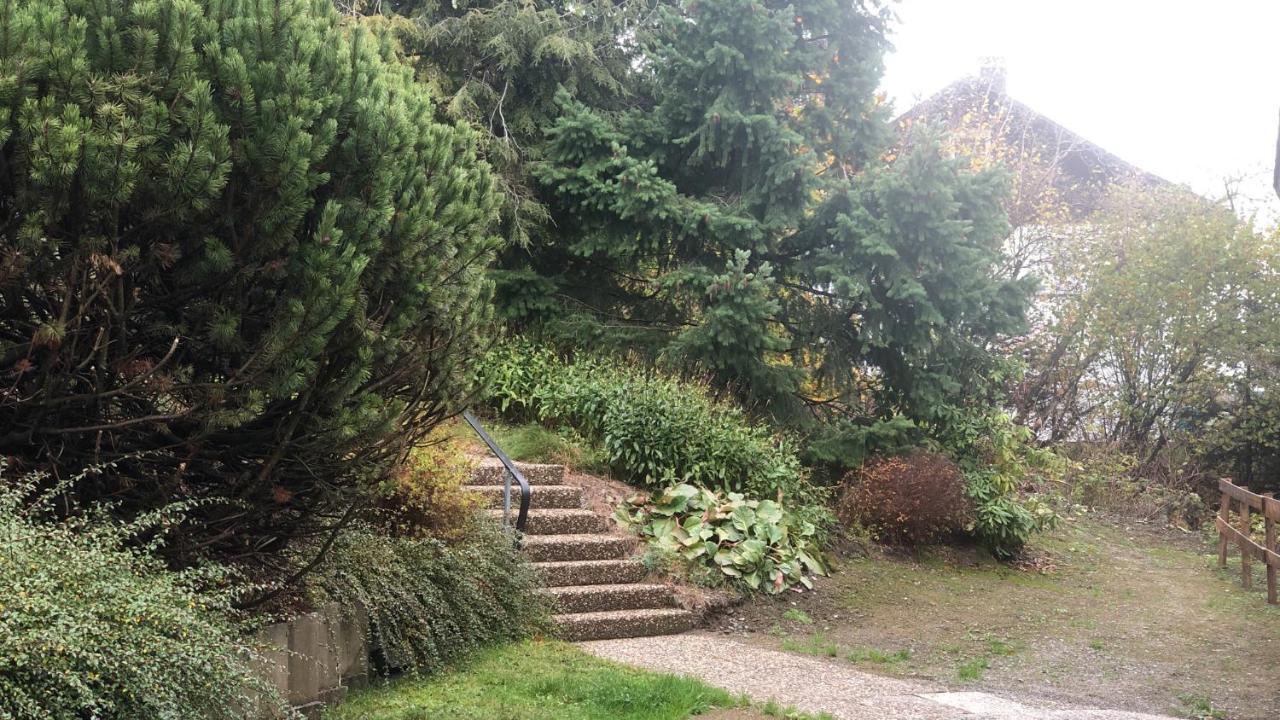 Fewo Berg Idyllika 维林根 外观 照片